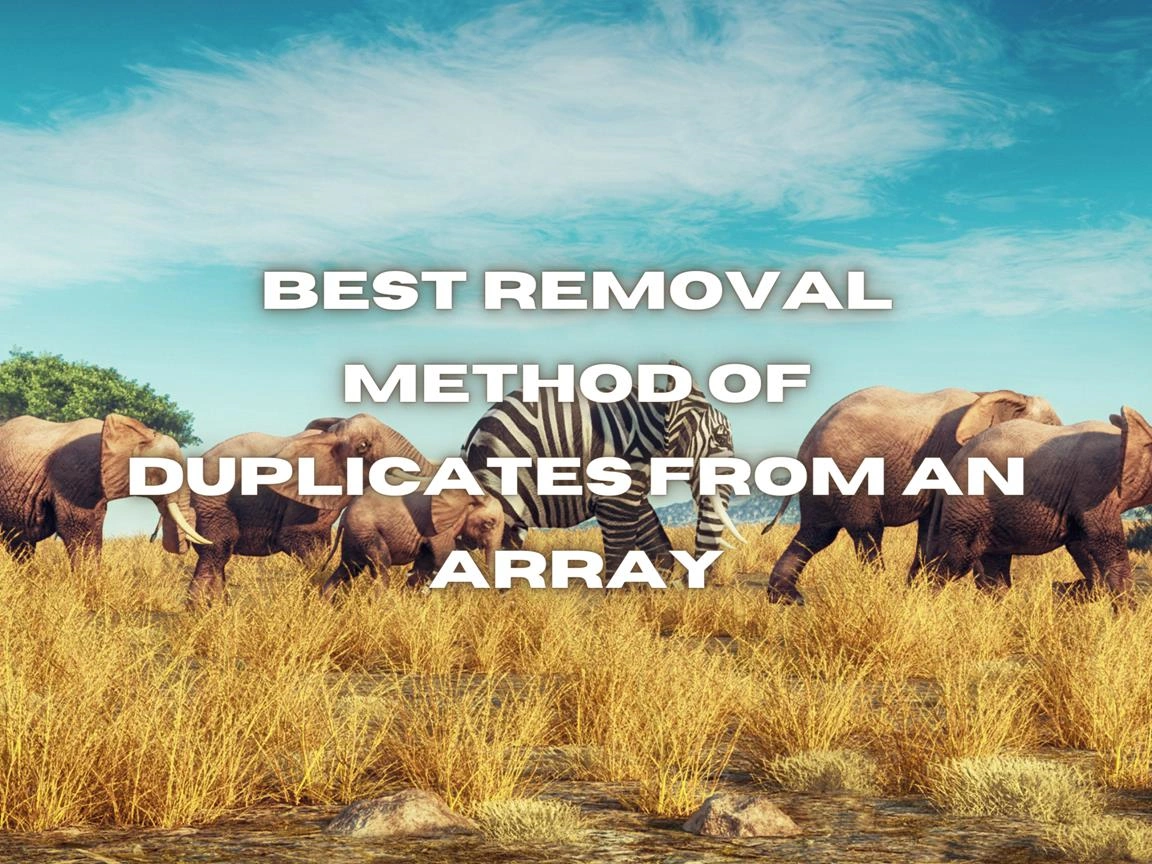 Best Removal Method Of Duplicates From An Array Banner Image