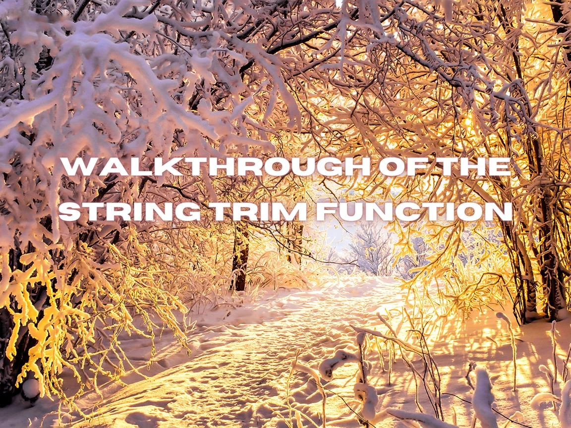 Walkthrough of the String Trim Function In C# Image
